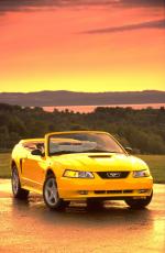 Ford Mustang GT Convertible 35th Anniversary 1999 года